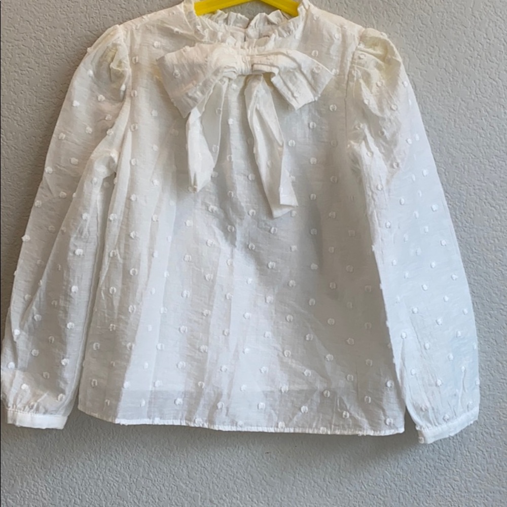 Zara Long-Sleeve Blouse